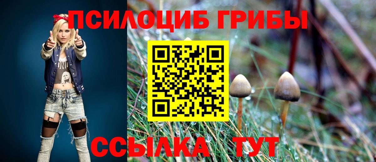Кирово-Чепецк  Галлюциногенные грибы ЛСД  Вход с VPN  Псилоцибиновые грибы мухоморы 