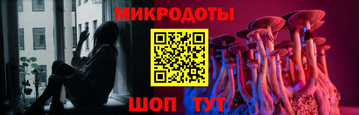 Псилоцибиновые грибы прущие грибы Кирово-Чепецк